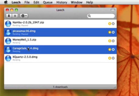 Leech 2 features movie