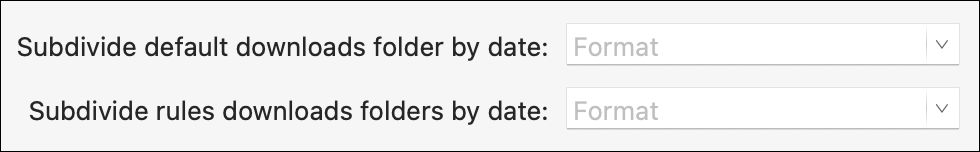 Enable automatic subdivision of downloads folder by date, and set the format for the date