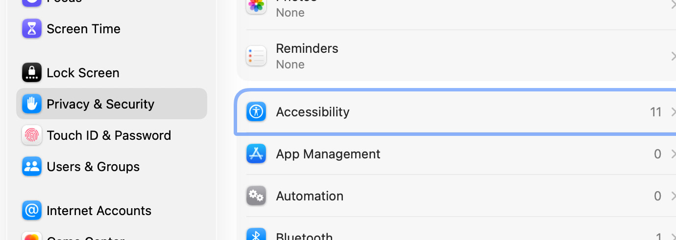 The Accessibility panel