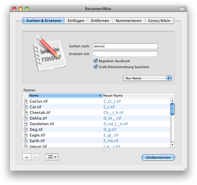 Renamer4Mac in 2008